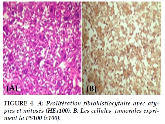 Journal of Functional Ventilation and Pulmonology - Journal de la ...